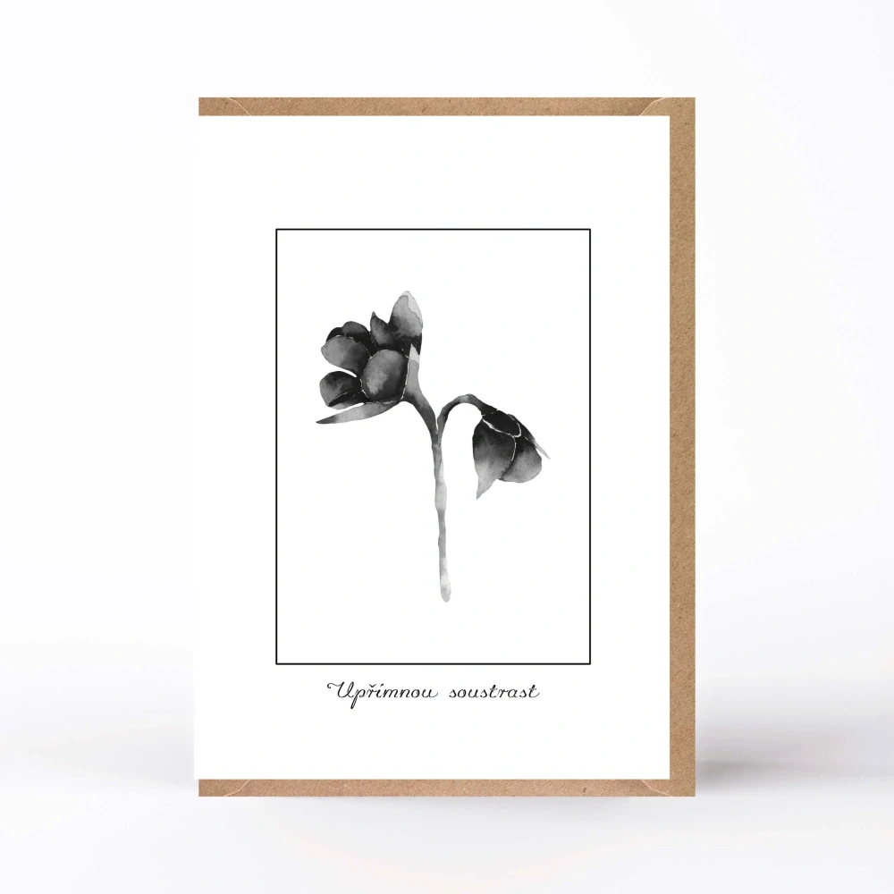 20211  KONDOLENCE S OBÁLKOU č. 13