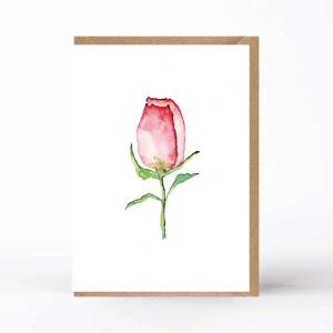 20192  PŘÁNÍ S OBÁLKOU - Rozárium č. 4