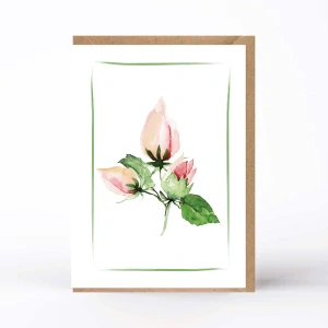 20193  PŘÁNÍ S OBÁLKOU - Rozárium č. 5