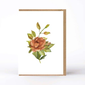 20297 PŘÁNÍ S OBÁLKOU - Podzimní růže