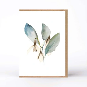 20031  PŘÁNÍ S OBÁLKOU - Sněženky