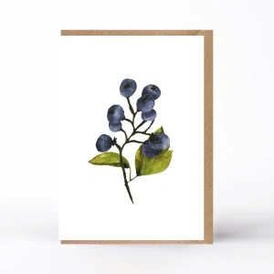 20032  PŘÁNÍ S OBÁLKOU - Borůvky