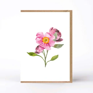 20048  PŘÁNÍ S OBÁLKOU - Růže ... právě rozkvetla