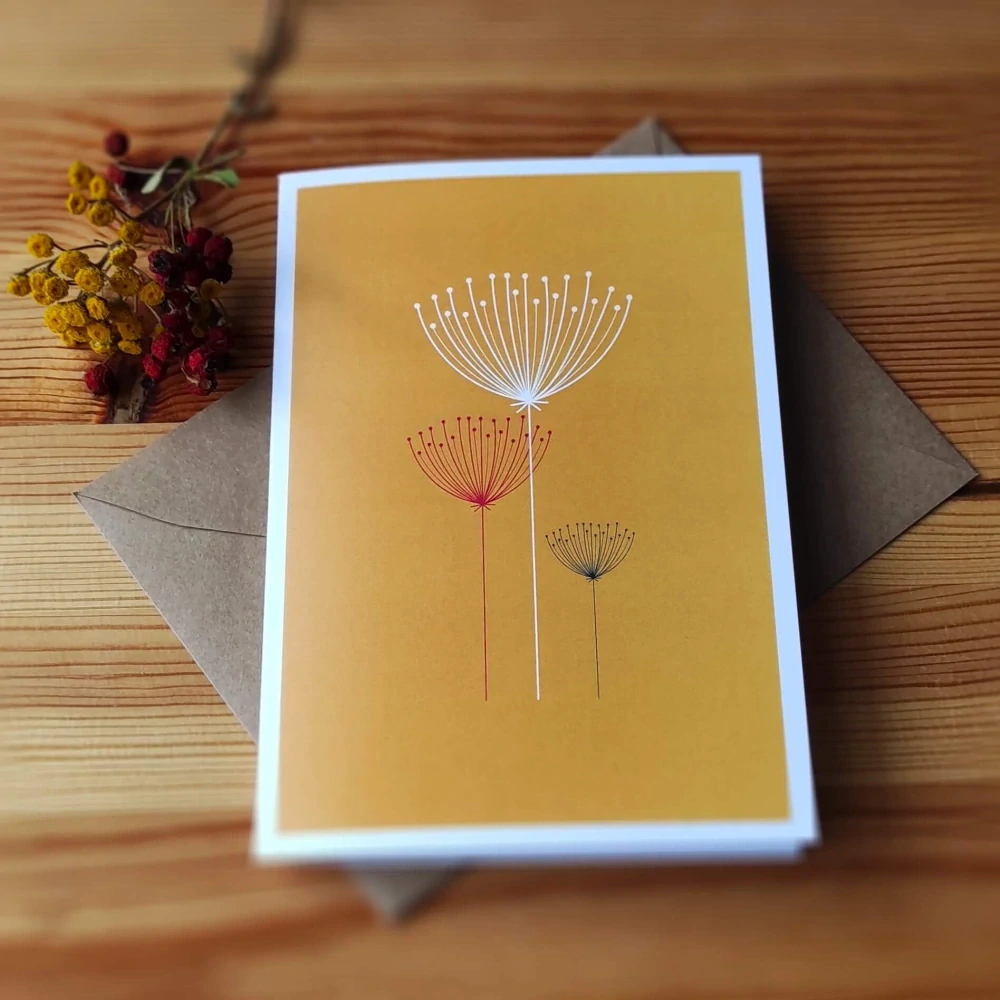 20318  PŘÁNÍ S OBÁLKOU - EL č. 8