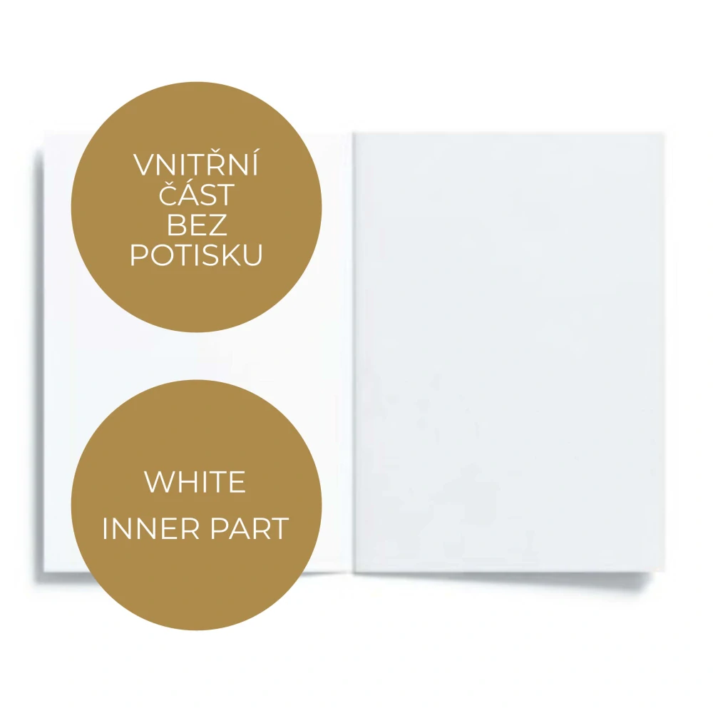 20113  Svatební PŘÁNÍ S OBÁLKOU - PASTELOVÉ ŠTĚSTÍ č. 1 (zelený puntík)