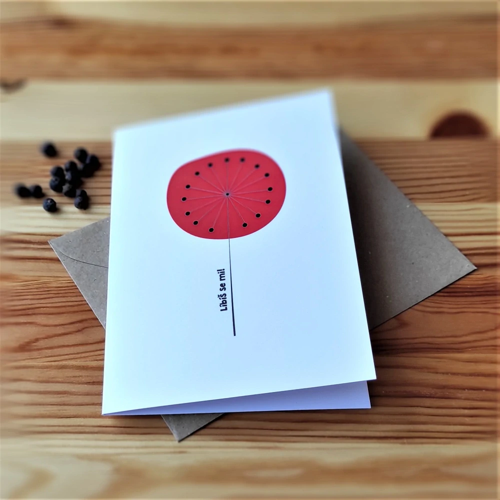 20121  PŘÁNÍ S OBÁLKOU - Líbíš se mi!