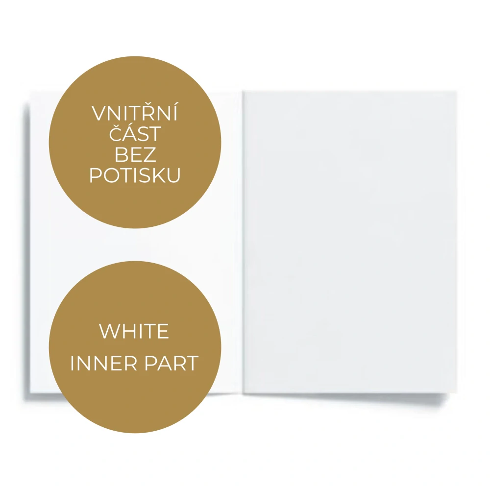 20047  PŘÁNÍ S OBÁLKOU - Růže květ